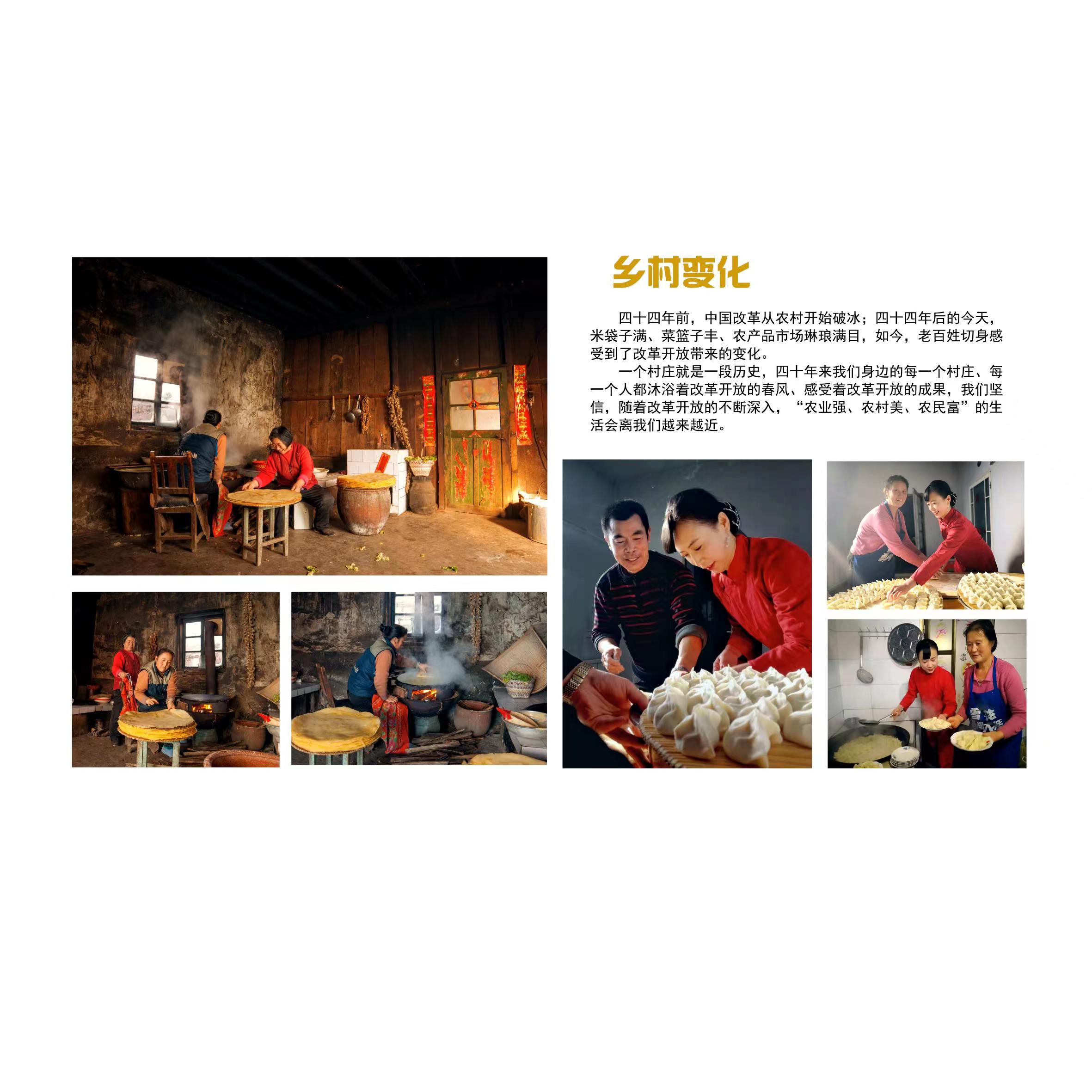 《乡村变化》 丁世军.jpg